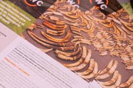 Image result for Deben Sc