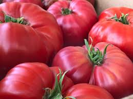 Afbeeldingsresultaat voor brandywine sudduth tomato