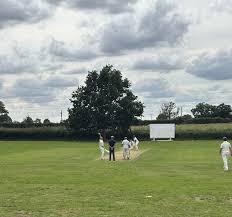 Image result for Hollingworth Cricket Club