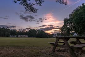Image result for Blackheath Cricket Club