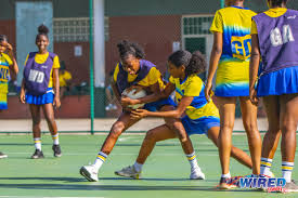Image result for Wolverhampton City Netball League