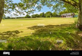 Image result for Wigan Cricket Club