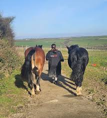 Image result for Bletchingly Badminton Club