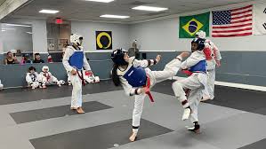 Image result for Elite Force Martial Arts