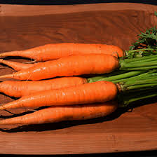 Attēlu rezultāti vaicājumam “Daucus sativus”