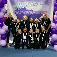 Image result for Uckfield Gymnastics Club