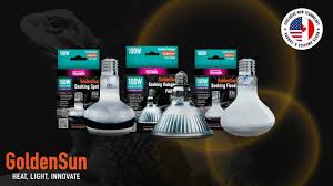 Risultati immagini per arcadia basking solar flood