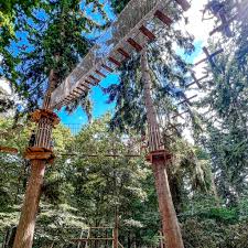 Image result for Go Ape! Thetford