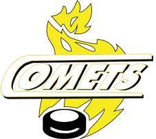 Image result for Cardiff Comets Ladies Ice Hockey