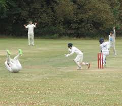 Image result for Orrell Red Triangle Cc