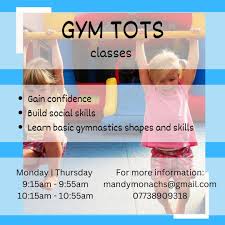 Image result for Monarchs Sports Acrobatics Club