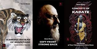 Image result for Intelligent Martial Arts