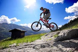 Mountain bike