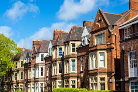 Image result for Cardiff Capitals