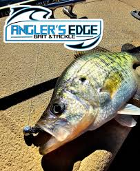 Image result for Bargoed Sea Anglers