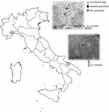 Attēlu rezultāti vaicājumam “Euphydrias aurinia underside”