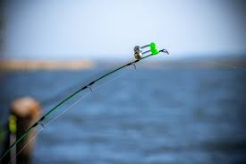 Image result for Swanage & District Angling Club