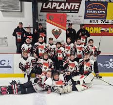 Image result for Demons Skater Hockey Club