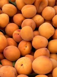 Attēlu rezultāti vaicājumam “Prunus armeniaca fruit”