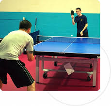 Image result for Dml Woolwell Table Tennis Club