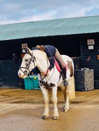 Image result for Cranleigh School Stables