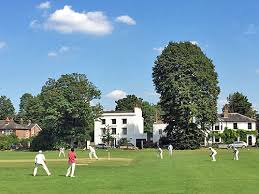 Image result for Mitcham Cricket Club