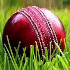 Image result for Oxshott Village Cricket Club
