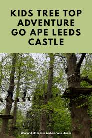 Image result for Go Ape! Leeds Castle