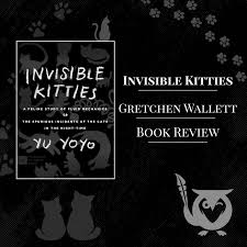 Image result for invisible cat