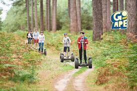 Image result for The Go Ape Experience (Swinley Forest)