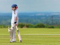 Image result for Hawk Green Cricket Club