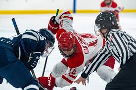 Image result for York University Street Hockey Club