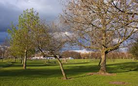 Image result for Irlam Cc