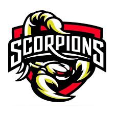 Image result for Cwmbran Hockey Club