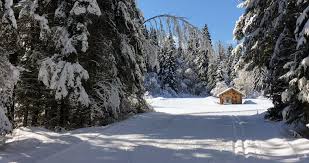 Image result for Clydebank Ski Club