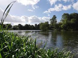 Image result for Dunham Massey Angling Club