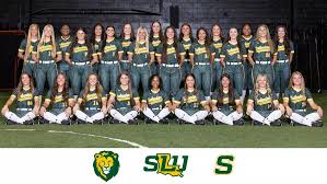 Image result for Lions Softball Club