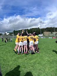 Image result for Sarsfield Gfc