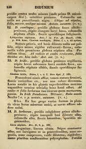 Attēlu rezultāti vaicājumam “Didymium xanthopus”