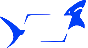 Image result for Leeds Free Divers Octopush Club