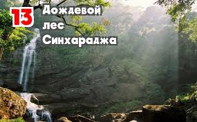 Image result for синхараджа