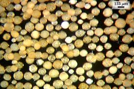 Attēlu rezultāti vaicājumam “Physarum luteolum spores”