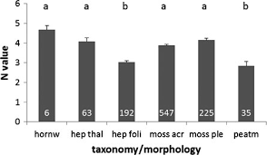 Attēlu rezultāti vaicājumam “Homomallium incurvatum sporophyte”