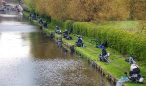 Image result for Guildford Angling Society