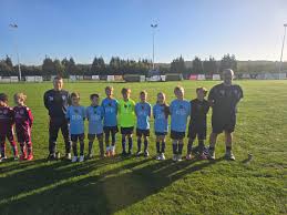 Image result for Benfleet Football Club