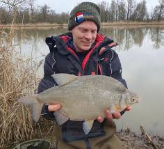 Image result for Blicca bjoerkna