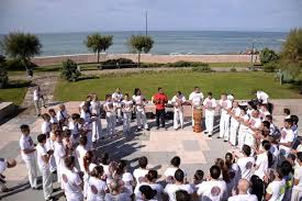 Image result for Rabo de Arraia Capoeira