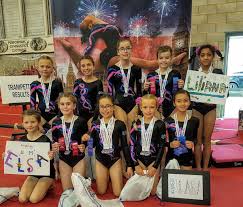 Image result for Arabian School Of Gymnastics, Milton Keynes