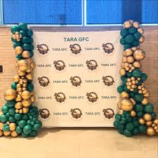 Image result for Tara Gfc