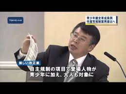 Image result for 非実在青少年